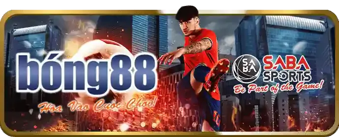 Cầu thủ bóng đá trên sân cỏ